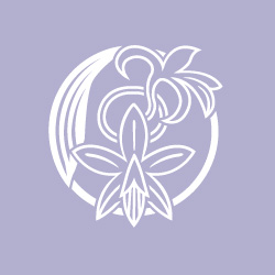 紫蘭ページ d313bd0b4894cabfb5b301f72ea84e